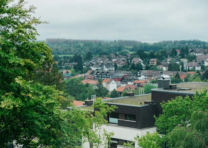 Daire Haus Sonneck - Apartmenthaus - Sonnenterrasse Mit Grill - 1-8 Personen - Ruhige Lage Mit Blick Ueber Braunlage